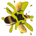 Bee Smasher for PC