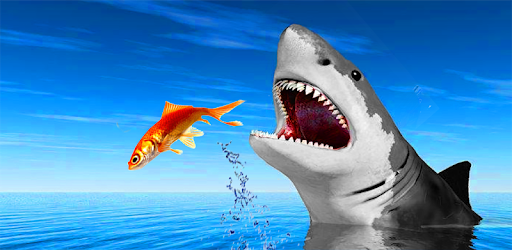 Hungry Shark Attack Blue Whale Evolution Simulator PC screenshot