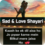 Sad & Love Shayari, Status & Quotes -Hindi Shayari icon