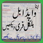 Electricity Bill Checker Wapda Pakistan(2018-19) icon