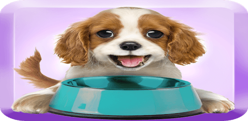 Feed A Puppy PC screenshot