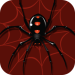 Spider Solitaire - Classic Card Games icon