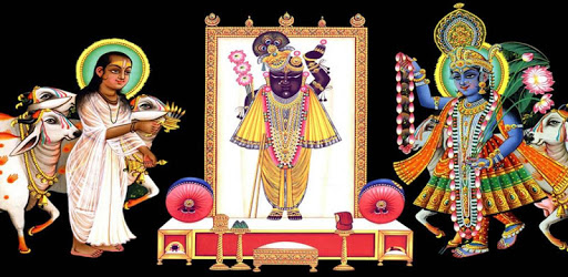 Shrinathji Chalisa,Bhajan,Pics PC screenshot
