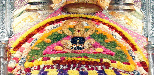 Shyam Sarkar Live Darshan & Video  Status. PC screenshot