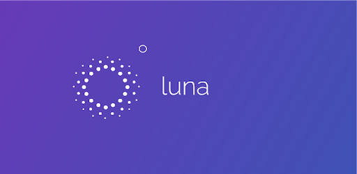 Luna: Dashcam PC screenshot