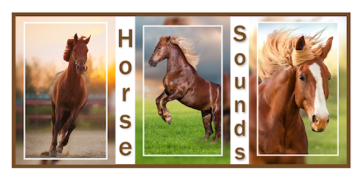 Horse Sounds and Ringtones PC screenshot
