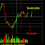 Professional Trader Training icon