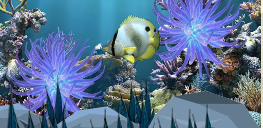 Coral Reef Lite Free Aqua Live PC screenshot Coral Reef Lite Free Aqua Live PC screenshot
