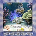 Coral Reef Lite Free Aqua Live for PC Coral Reef Lite Free Aqua Live for PC