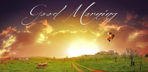 Good Morning HD Images PC screenshot