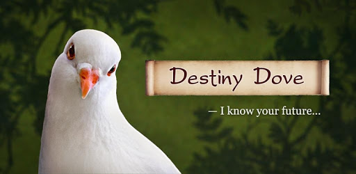 Destiny Dove PC screenshot