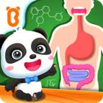 Baby Panda's Body Adventure icon