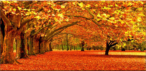 Autumn GIF PC screenshot Autumn GIF PC screenshot