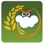 SkyGreen icon
