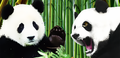 Panda Slots - Free Slot Casino PC screenshot