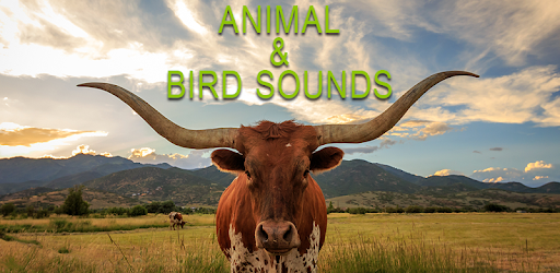 Animal and Bird Sounds PC screenshot Animal and Bird Sounds PC screenshot