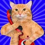 Change Voice While Calling ! for PC
