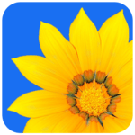 Photo Gallery icon