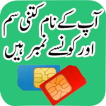 Pakistan SIM Verification Info icon