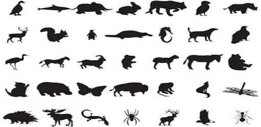 Learn animal sounds PC screenshot Learn animal sounds PC screenshot
