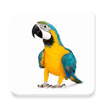 Learn animal sounds for PC Learn animal sounds for PC