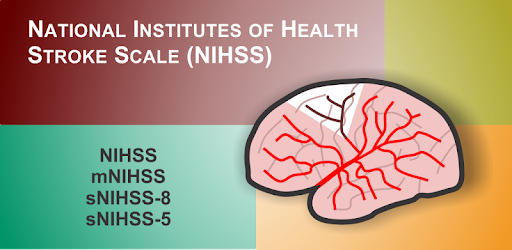 NIH Stroke Scale (NIHSS) PC screenshot