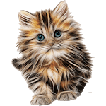 Cat breeds - Photos for PC Cat breeds - Photos for PC