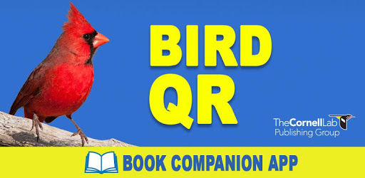 Bird QR PC screenshot