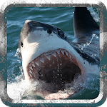 Angry Shark - Wild Attack for PC