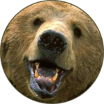 Bear (Animal) sounds for PC