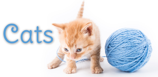 Cat Games Free Puzzles PC screenshot Cat Games Free Puzzles PC screenshot