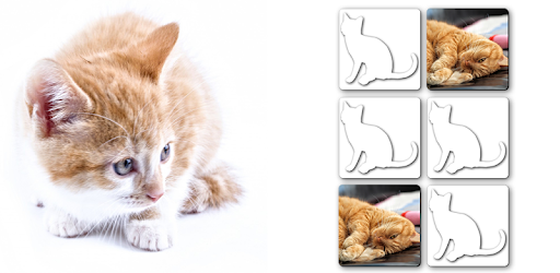 Puzzle Games free: Cute Cats PC screenshot Puzzle Games free: Cute Cats PC screenshot