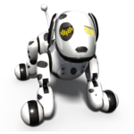 Zoomer for PC Zoomer for PC