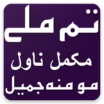 Tum Mile Urdu Novel By Momina Jamil for PC
