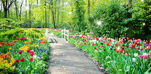 Spring Garden Wallpaper PC screenshot Spring Garden Wallpaper PC screenshot