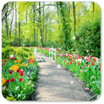 Spring Garden Wallpaper icon