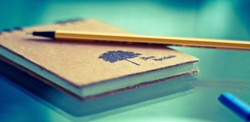 Mine diary PC screenshot