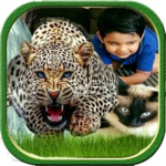 Wild Animals Photo Frame for PC Wild Animals Photo Frame for PC