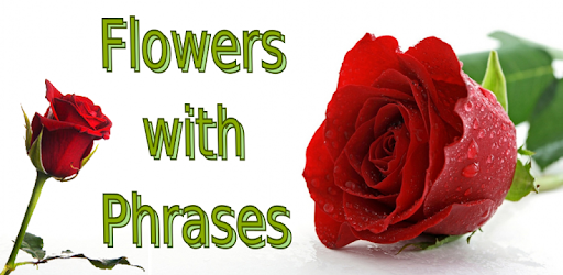 Flowers with Phrases PC screenshot