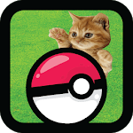 Pocket Kitten Cats GO icon