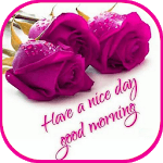 Good Night & Good Morning Image for PC Good Night & Good Morning Image for PC