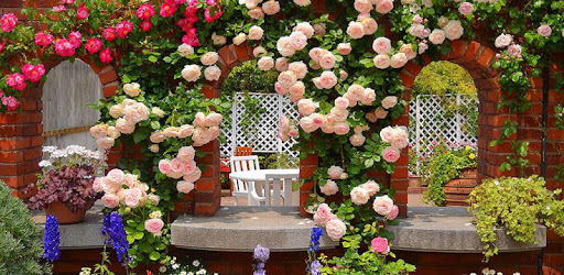 Roses Garden Wallpaper PC screenshot Roses Garden Wallpaper PC screenshot