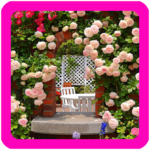 Roses Garden Wallpaper for PC Roses Garden Wallpaper for PC