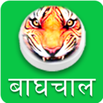 BaghChal - Tigers and Goats icon
