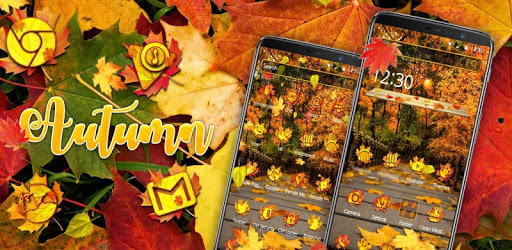 Sunny Autumn Fall Theme PC screenshot Sunny Autumn Fall Theme PC screenshot