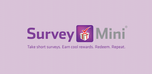SurveyMini PC screenshot SurveyMini PC screenshot