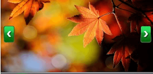 P2P WIFI camera PC screenshot