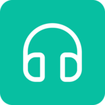 DS audio icon
