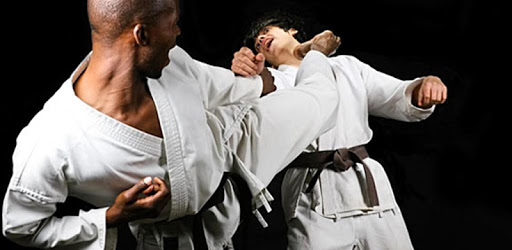 Self Defense Techniques PC screenshot