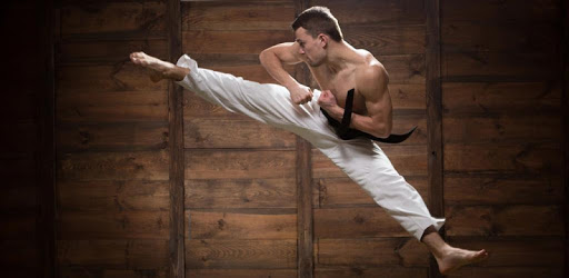 Mastering Taekwondo - Get Black Belt at Home PC screenshot Mastering Taekwondo - Get Black Belt at Home PC screenshot